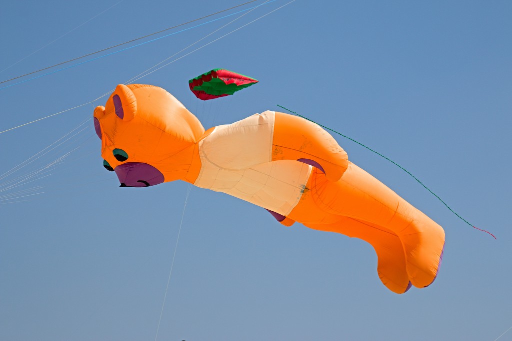 Cerfs-Volants vliegerfestival festival festiviteit evenement event berck sur mer vlieger speelgoed strand